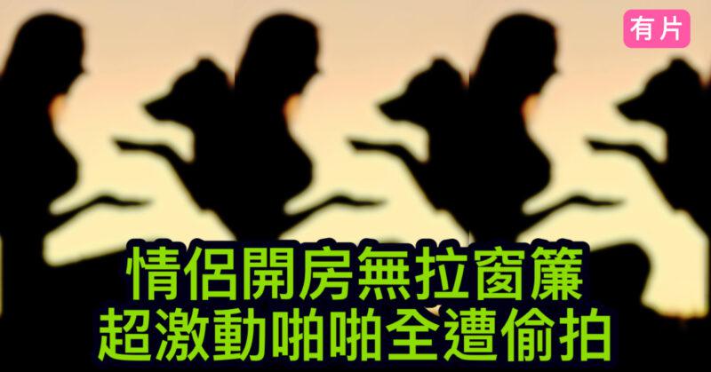 cups_long_20251014202021